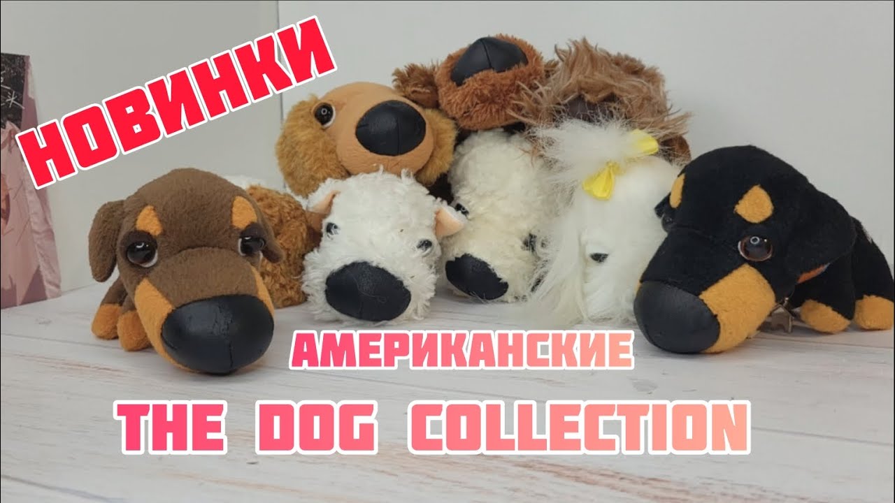 Распаковка и сравнение The Dog Collection | Аереканский VS СНГ 🐶