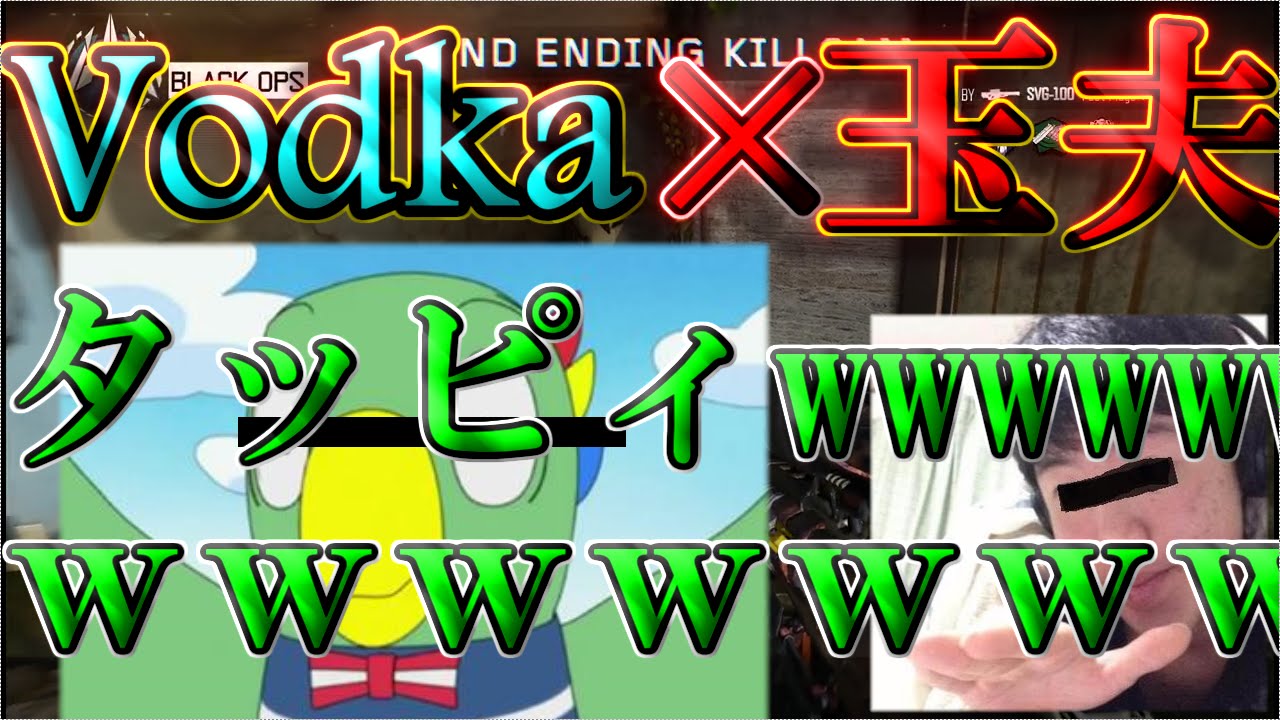 【BO3実況】Vodkaさんとﾗｽﾄ2on2!!!プロスナイパー達を煽るNOOB!!!【ハイグレ玉夫】