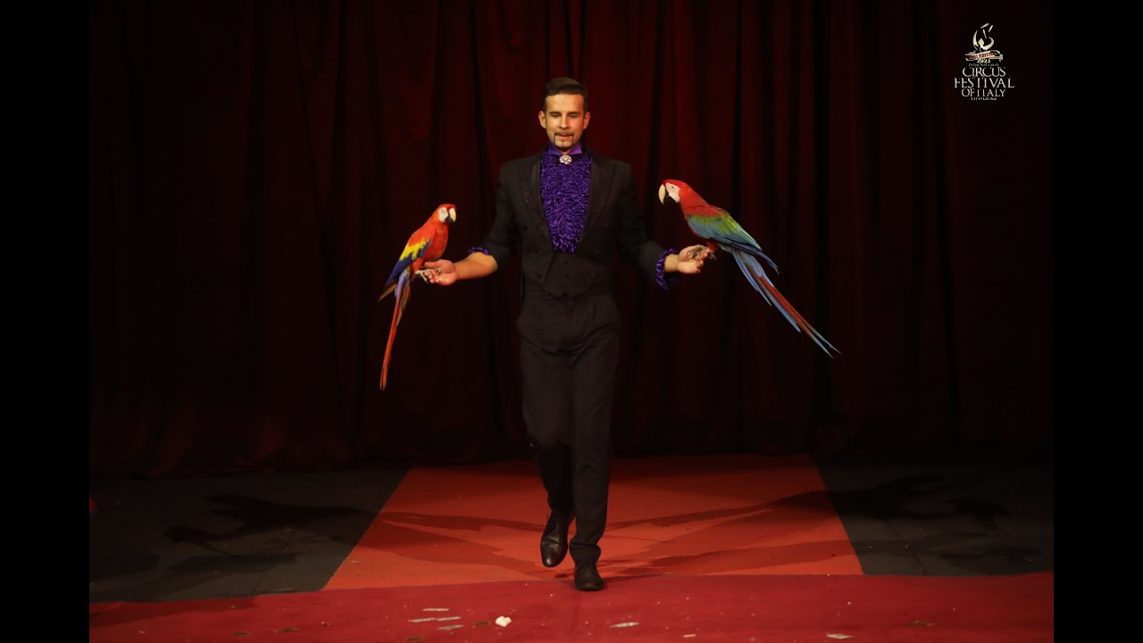 SERGII STUPAKOV, LATVIA – MAGIC WITH BIRDS 22nd Int. Circus Festival of Italy (2021)
