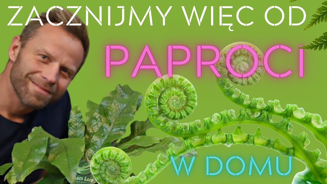PAPROCIE🌿 zacznijmy więc od nich, najlepsze gatunki i pielęgnacja.