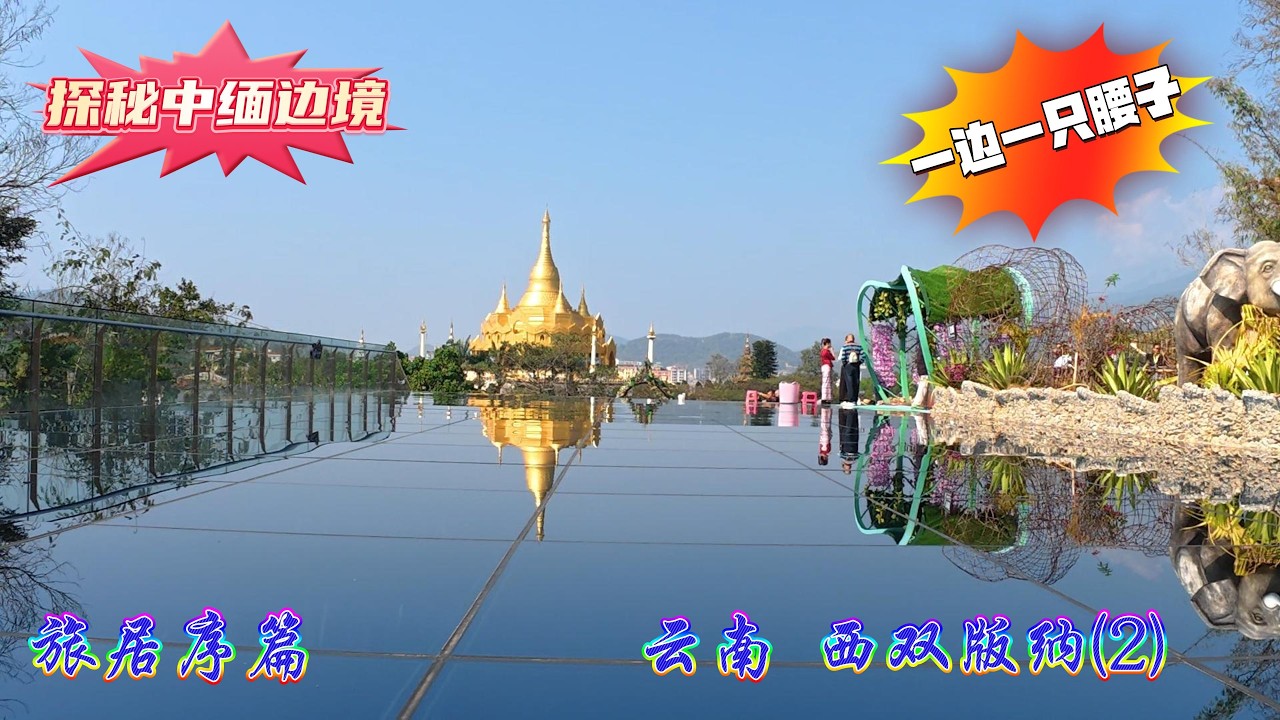 【旅居序篇】云南 西双版纳 中缅边境 打洛口岸 独树成林 极边第一村 龙利村