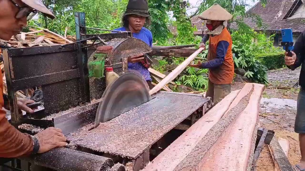 Menggergaji kayu mahoni‼️ gergaji bundar sérkel rakitan