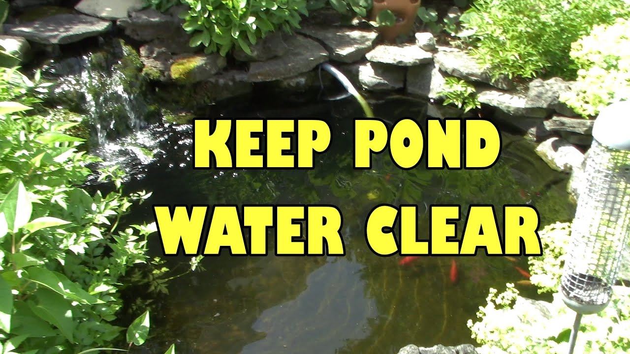 Keep fish pond clear ! BioBalls