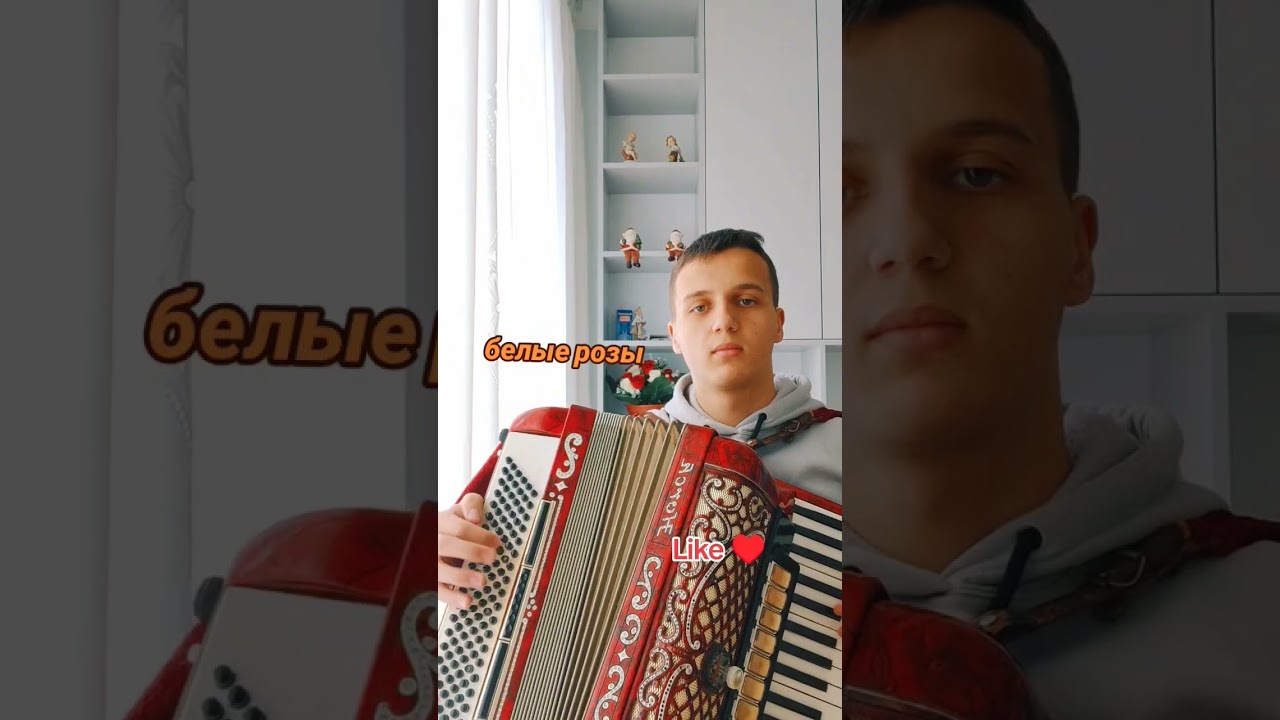 #acordeon