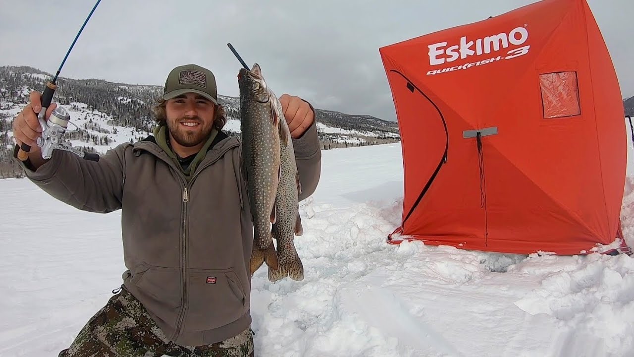 Chasing BIG Trout Through the Ice!! (Ice Fishing Catch & Cook)