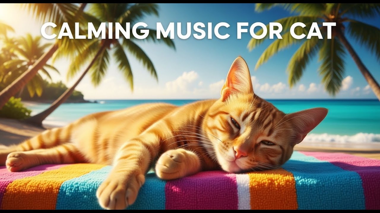 12 Hours of Calming Sounds for Anxious Pets 😿 : Deep Sleep, Relaxation, and Insomnia Healing