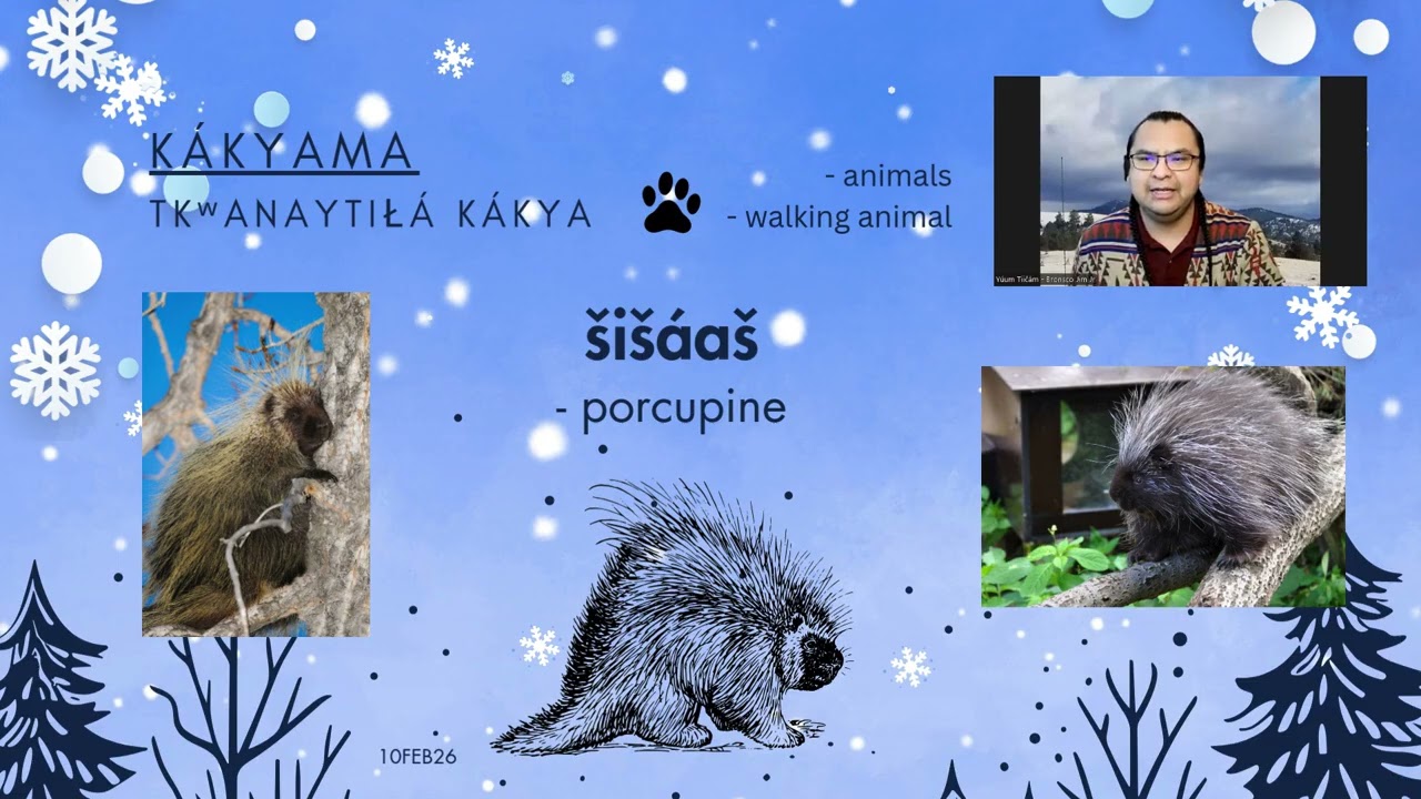 Yakama Ichishkiin Word of the Day 02/10/2026