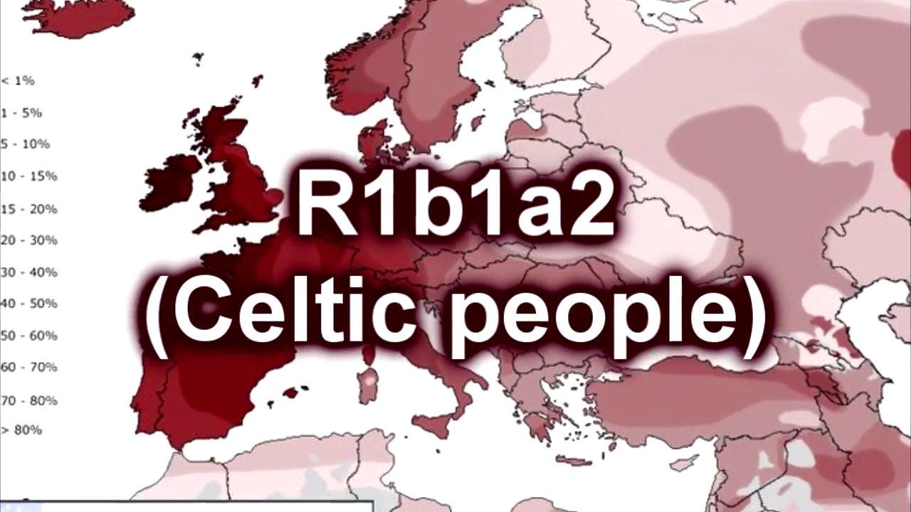 The Arbins | R1b tribes: Celts, Bashkirs, Basques [Kurgan]