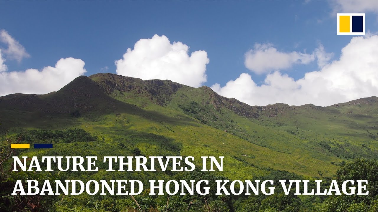 Shalotung: Hong Kong&rsquo;s haunting natural haven in the hills