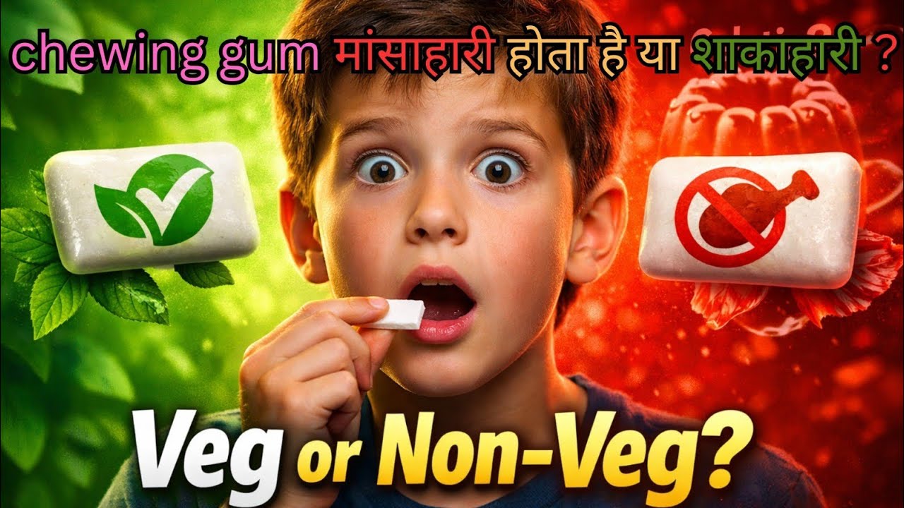 चिंगम मासांहारी होता है या शाकाहारी? 