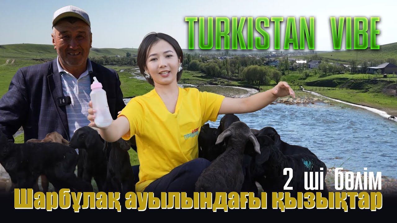 Түркістан vibe | Шарбұлақ ауылындағы қызықтар | 2-бөлім