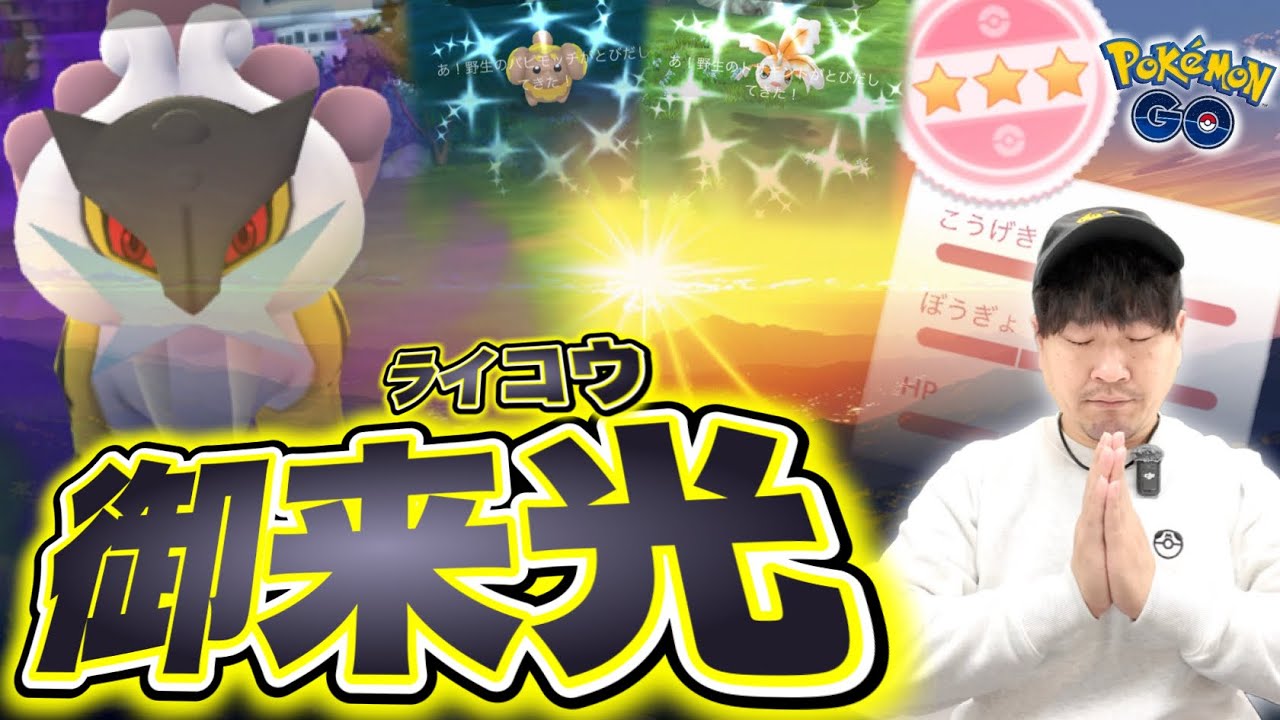 シャドウライコウレイドデイは大荒れ！？超速報！！！【ポケモンGO】