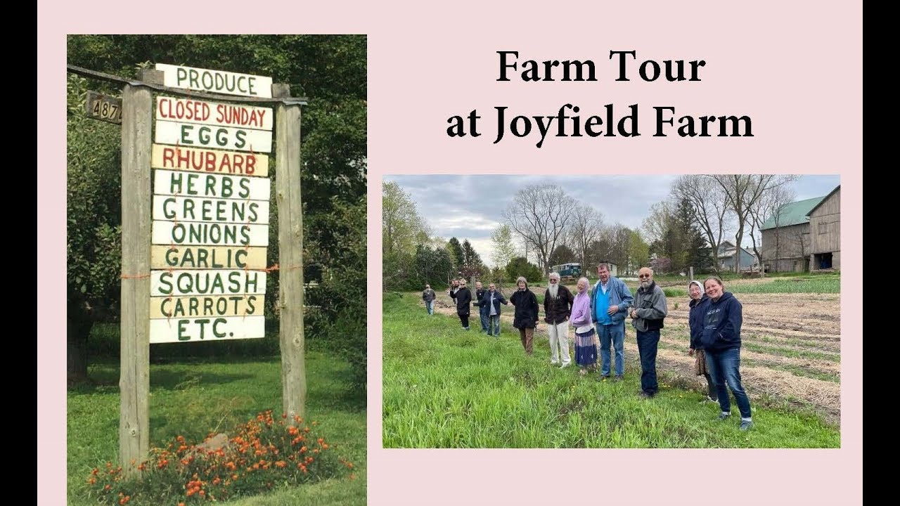 Joyfield Farm Tour (at War Tax Resistance Gathering)