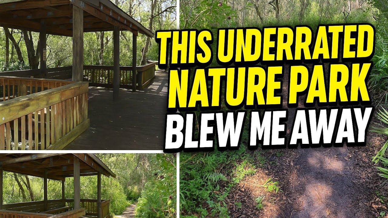 Unreal Nature Escape Hiding by I-275 in St. Pete!
