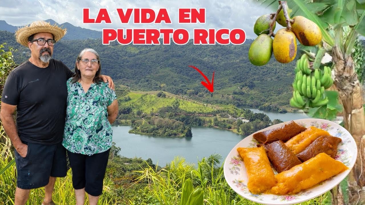 Dejaron la ciudad para VIVIR como JÍBAROS en las montañas de Puerto Rico 🏡⛰️ Josué y Elie 