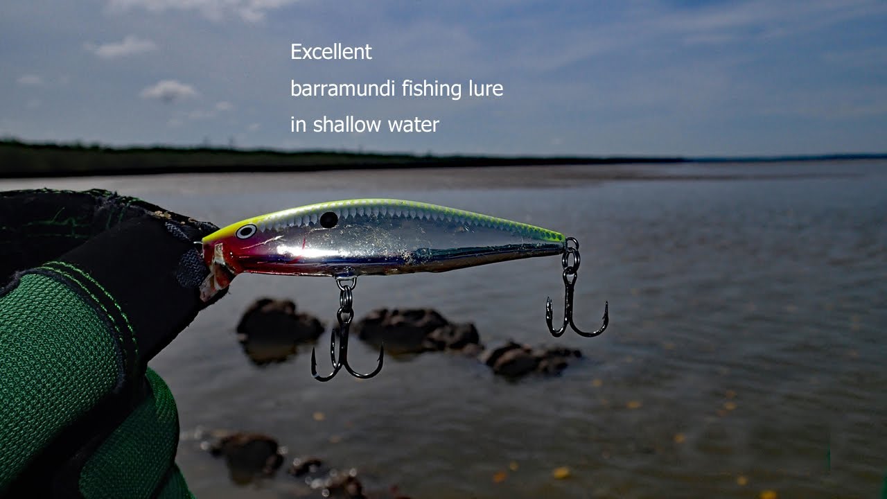 [Vol.150] Very Barramundi fishing lure in shallow water