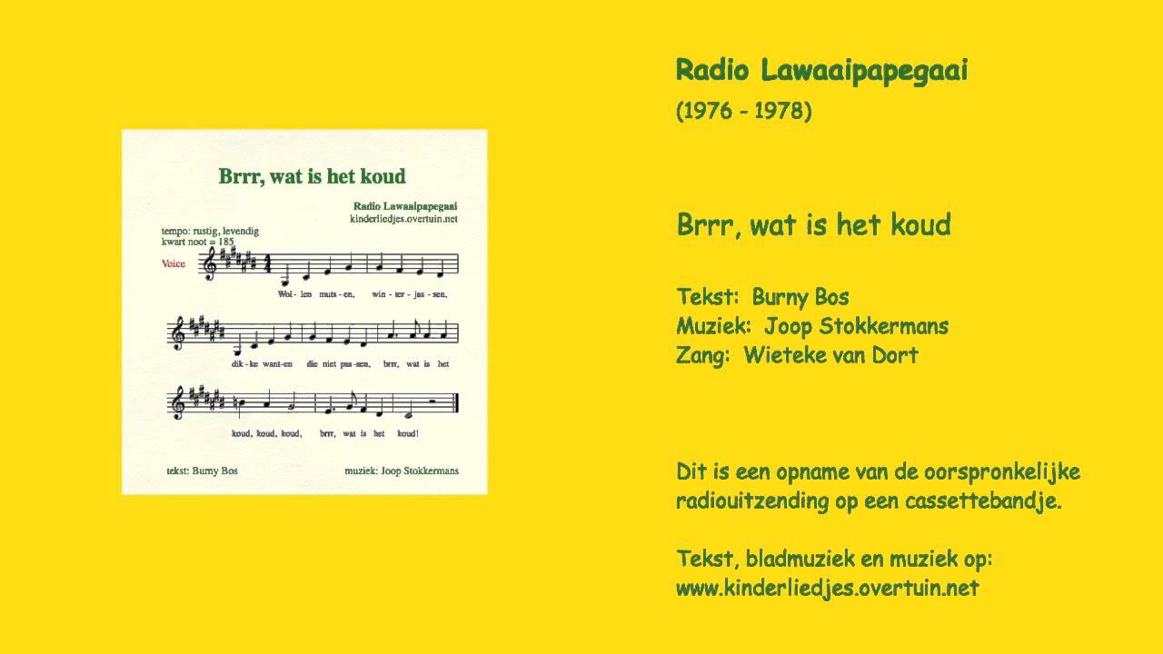 Kinderliedje 'Brrr, wat is het koud' - liedje sneeuw winter kou - Radio Lawaaipapegaai