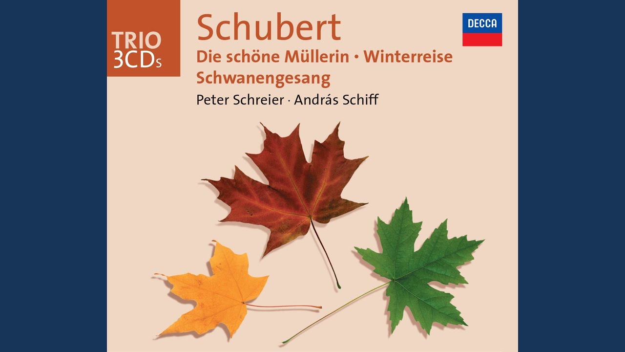 Schubert: Winterreise, D.911: 5. Der Lindenbaum