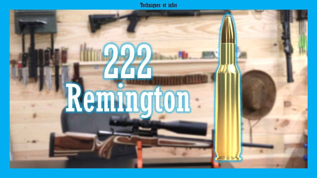 Le 222R, ce calibre dont vous n'avez pas besoin