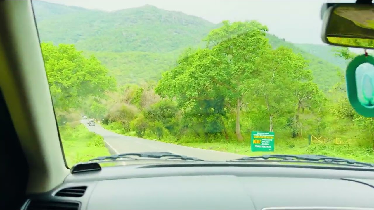 #nature #travel #ooty #masinagudi #tamilnadu #familytrip #trip #forest #wildanimals #wildlife 
