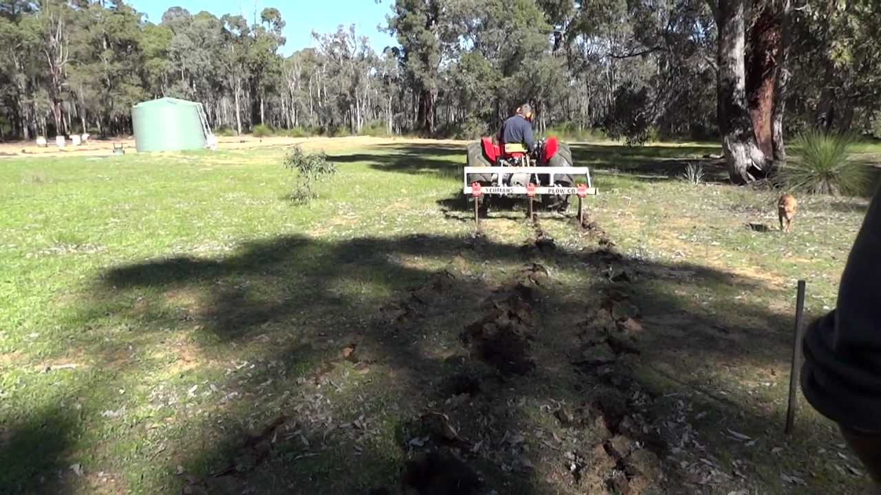 Yeomans Plow in WA
