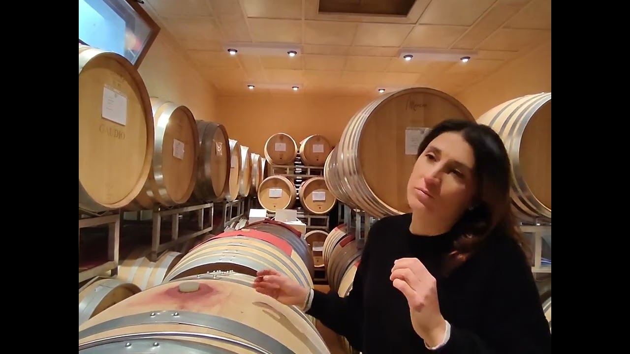 Beatrice Gaudio nella sala dell'affinamento @ilmangiaweb  barrique, tonneau, tipologia dei legni