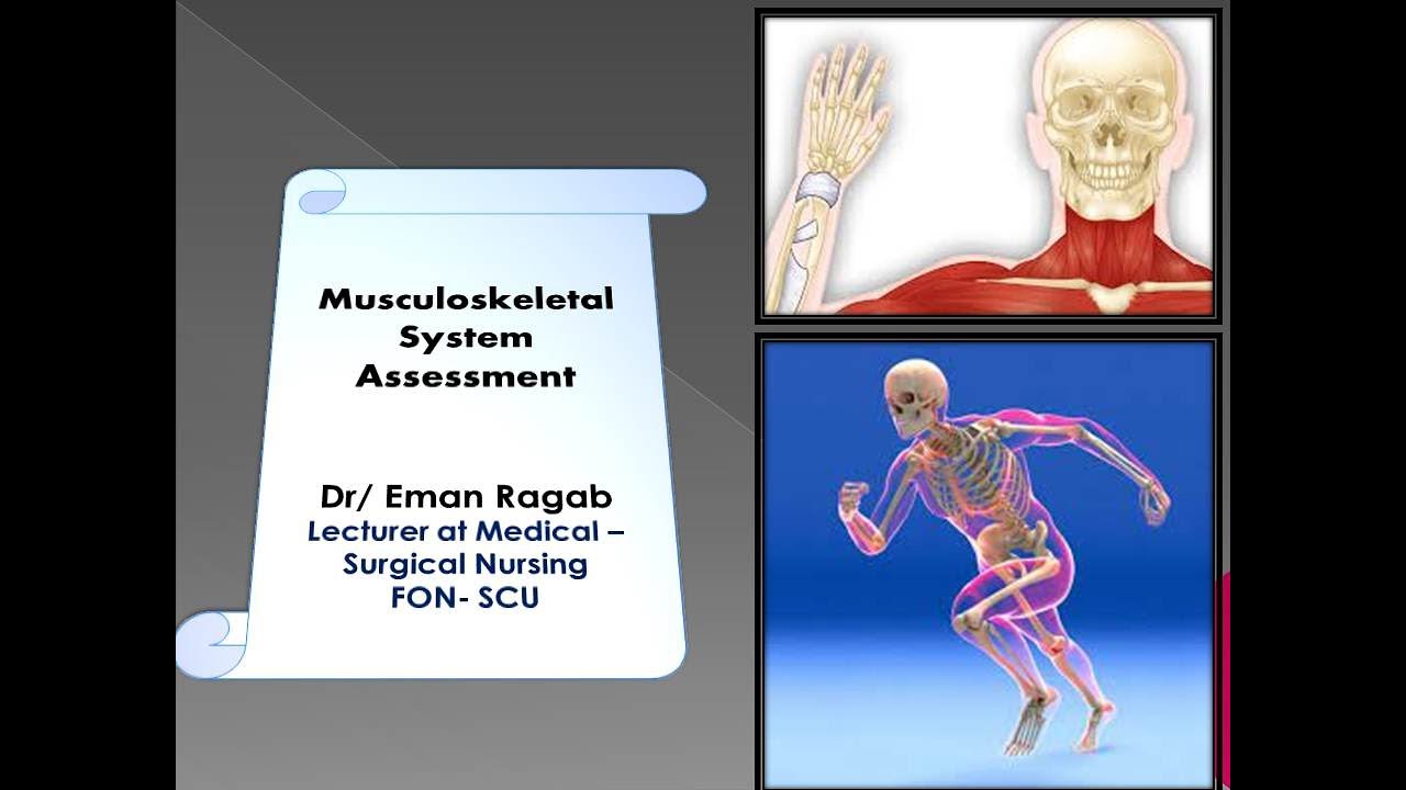 Muscloskeletal system assessment
