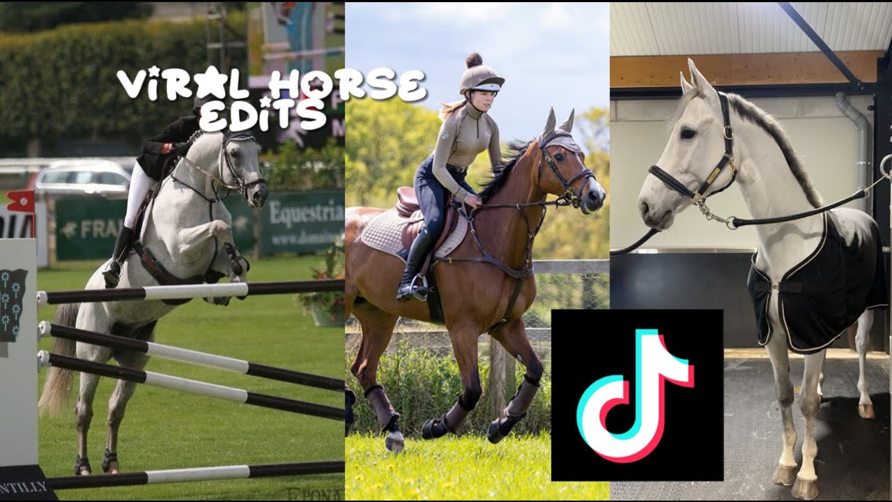 Horse edits that blew up on tik tok!!