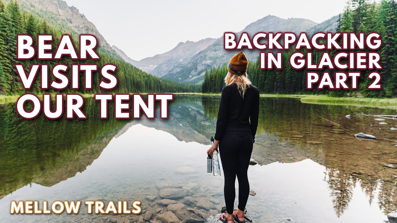 Bear Visits Our Tent // Backpacking in Glacier Part 2