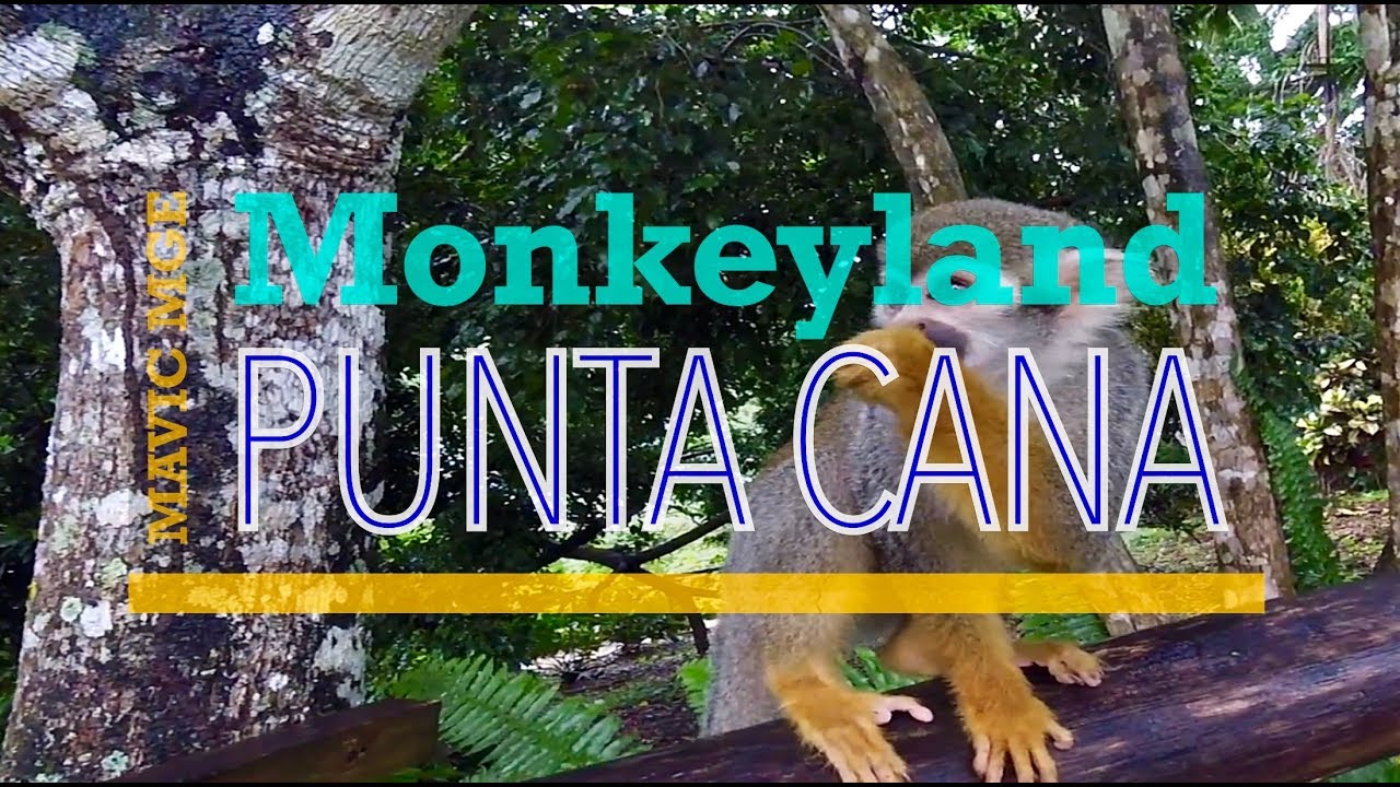 Monkeyland | Punta Cana | Dominican Republic
