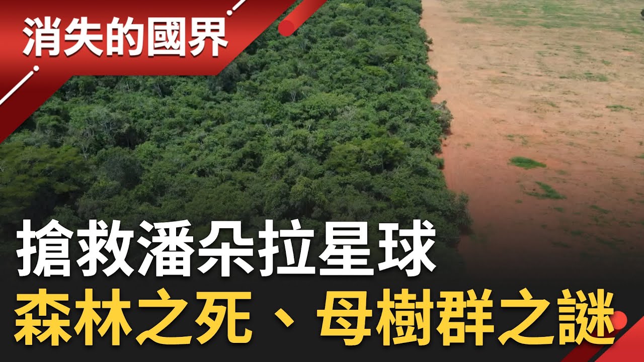 搶救潘朵拉星球－全球森林之死、尋找母樹群之謎 闡述新生態主張｜李文儀 主持｜【消失的國界】｜三立新聞台