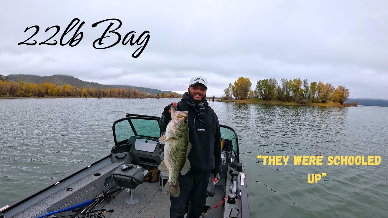 My Biggest Bag on Lake Berryessa | Dec 18
