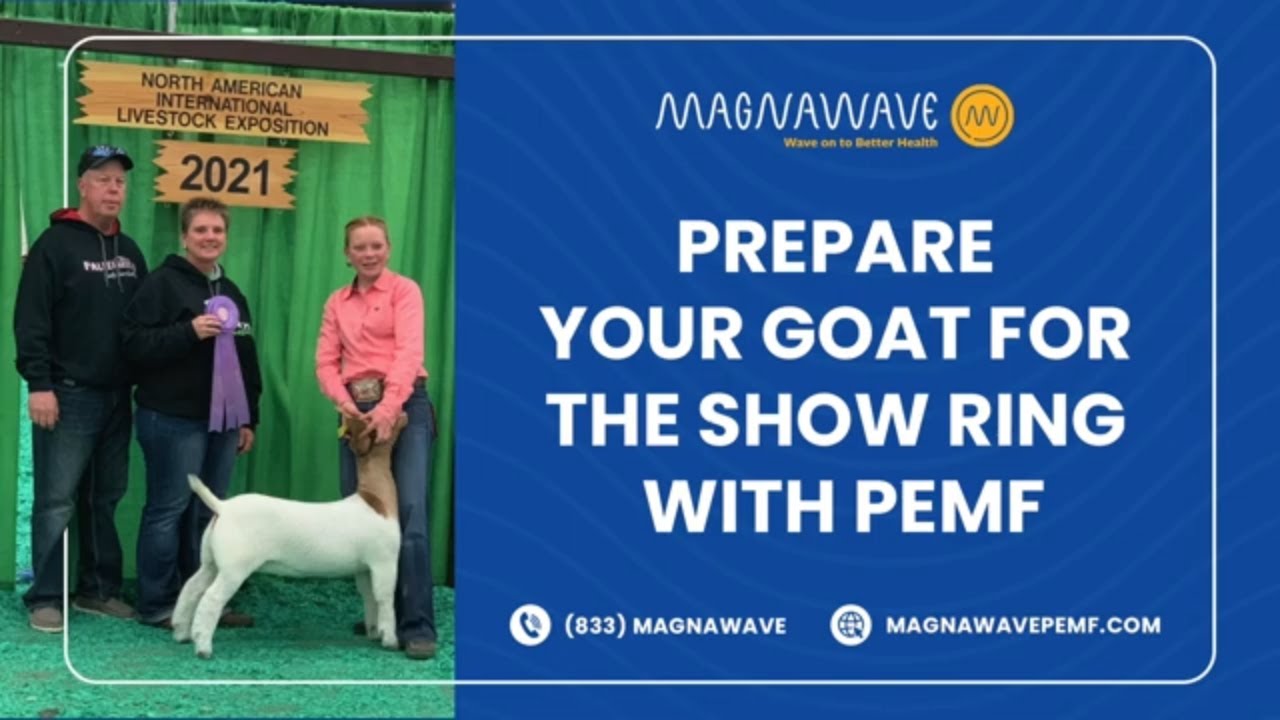 NAILE  2021 Recap | MagnaWave