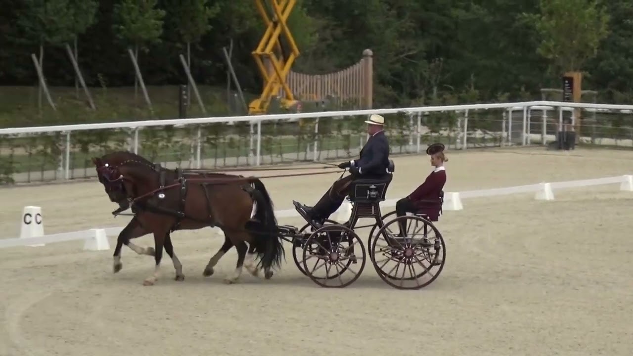 Milan DJURDJEVIC (SRB) FEI CH-M-AH2, Le Pin au Haras (France), dressage, 28.09.2023