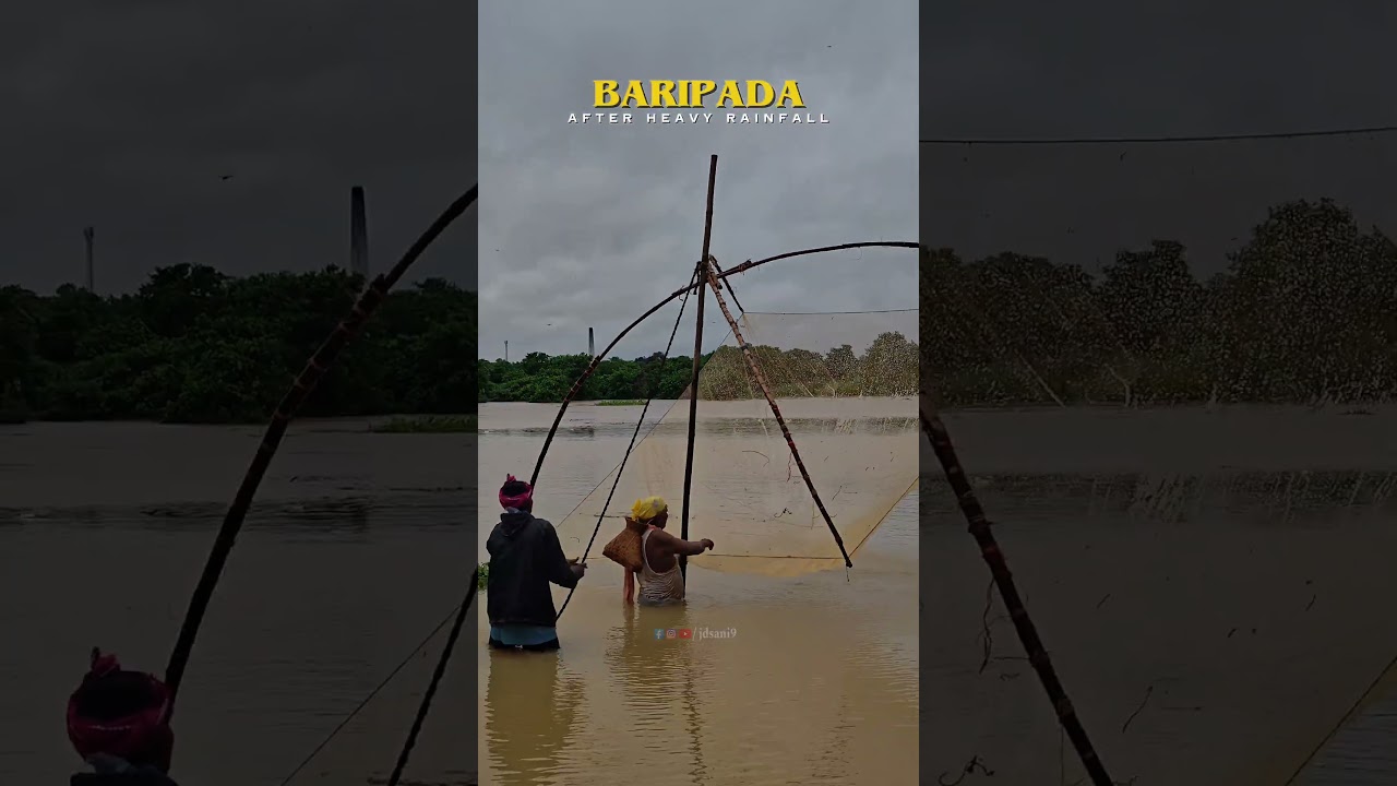Heavy rainfall alert #baripada #rainyday #flood #assam #assamflood #trending #shorts #shortvideo #4k