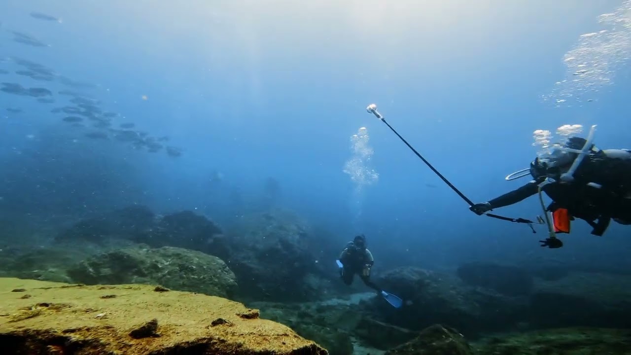 ウミガメに逢える海「南紀串本」／大阪 ダイビングスクールサンズ天王寺 #scubadiving #underwater #gopro 