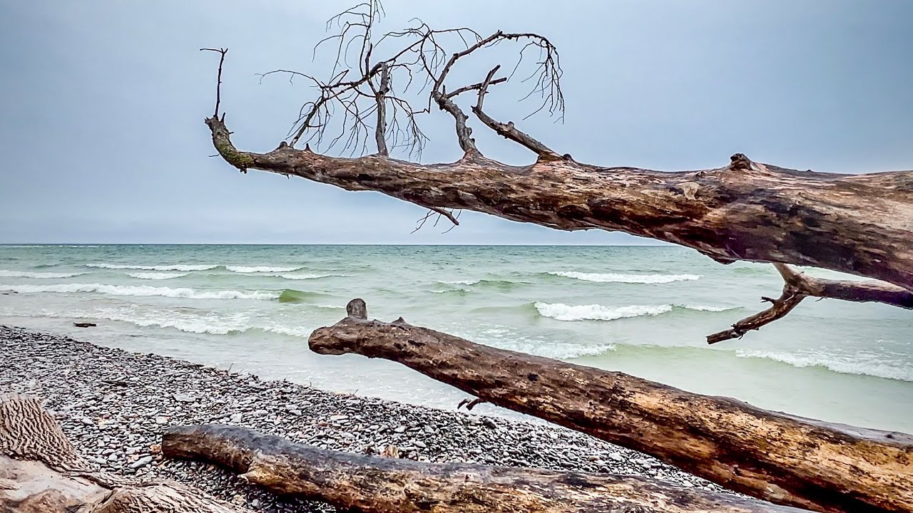 Overnight Solo SUV Camping in my KIA SOUL - Presqu’ile Provincial Park