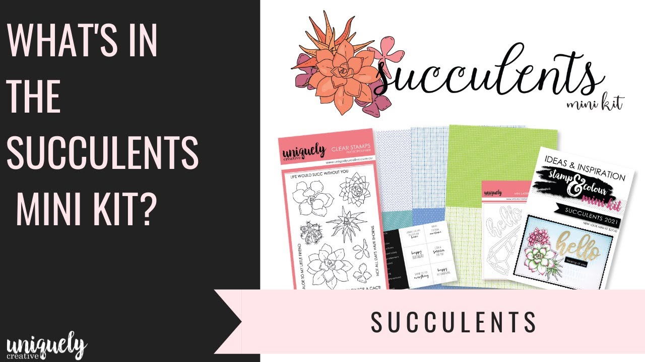 What's in the Succulents Mini Kit?