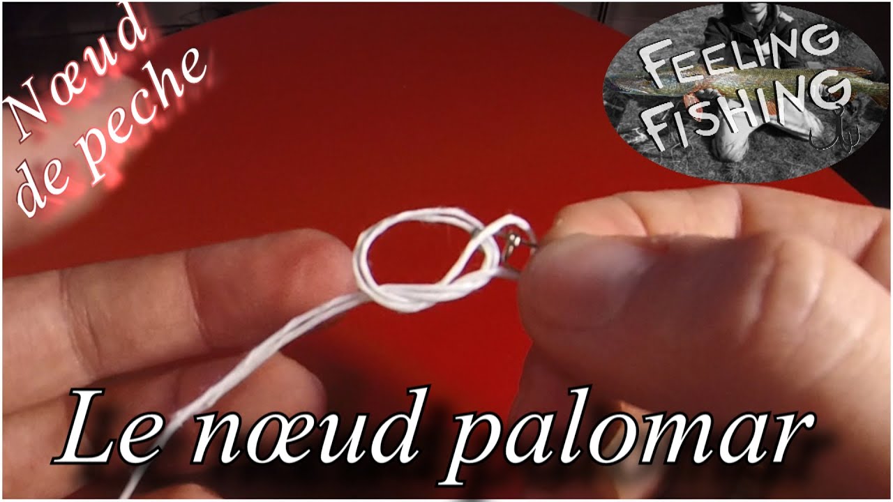 N&oelig;ud de peche : le n&oelig;ud palomar ( agrafe, &eacute;m&eacute;rillon )