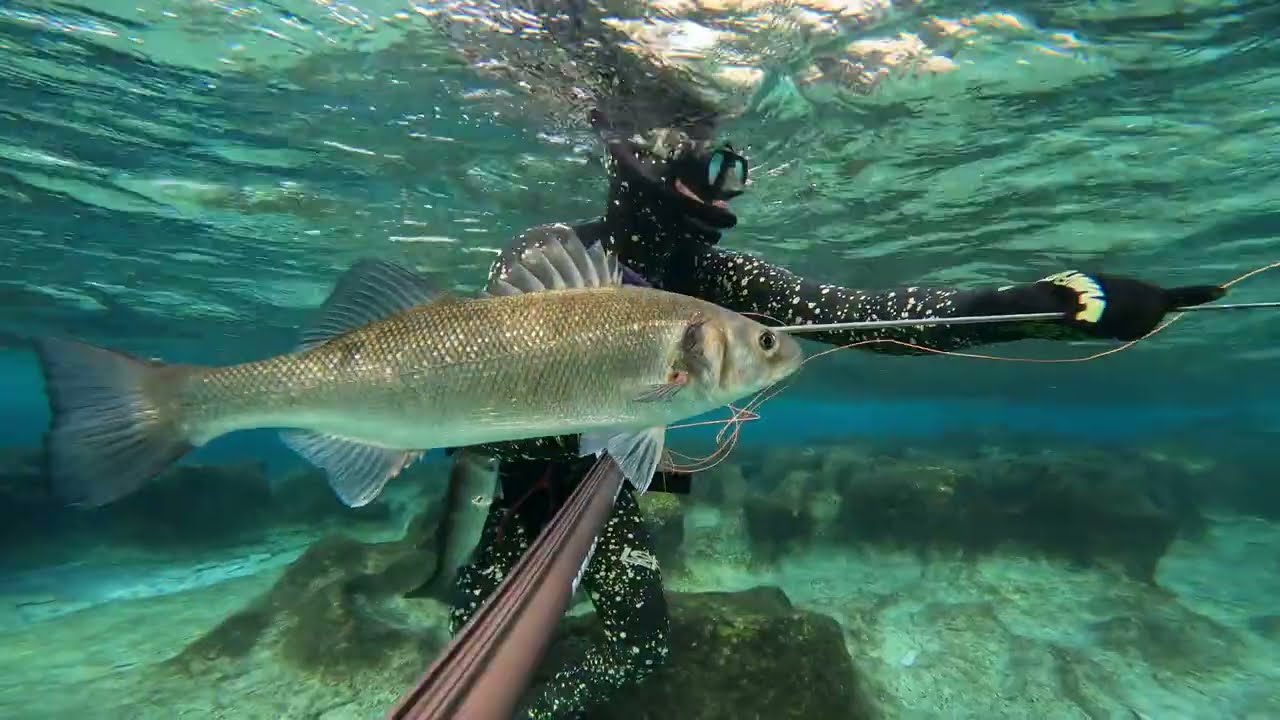Spearfishing Croatia - Okti Mali Lošinj
