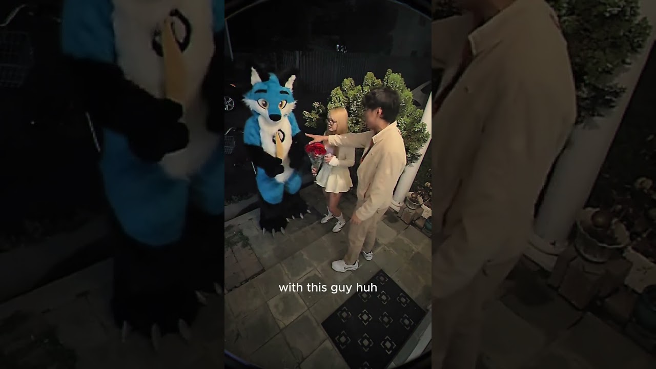 💔  #furry #fun #furryfriend #boyfriend #love #parent #friend #date #marridge #furries #fursuit