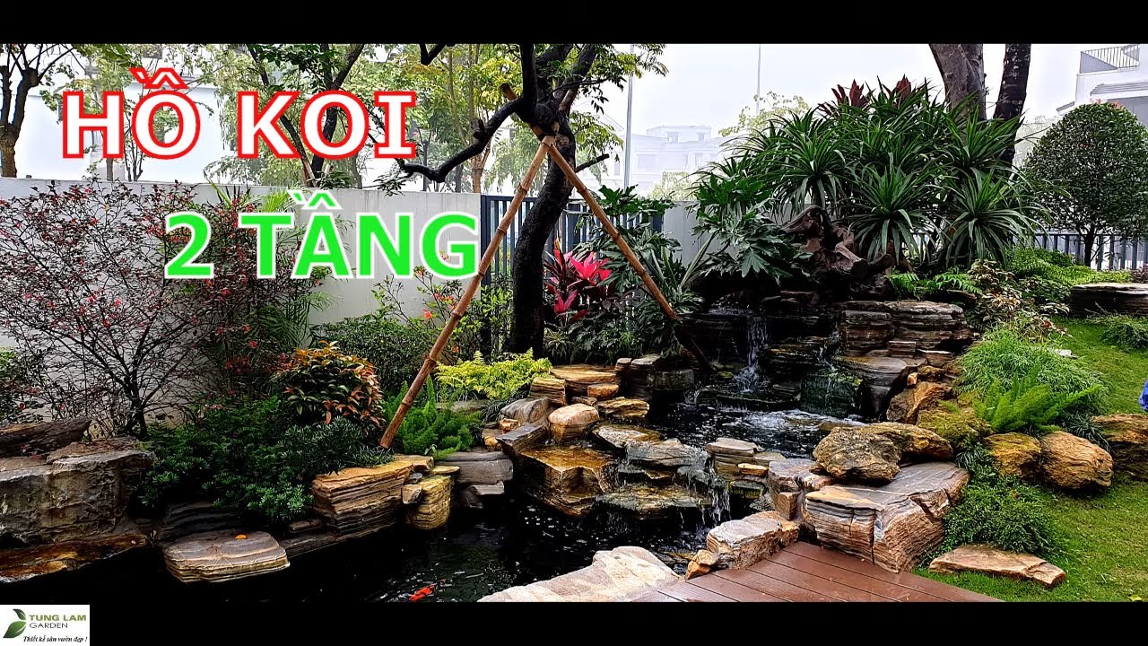 ✅KOI.131-Toàn cảnh hồ cá Koi 2 tầng trong sân vườn biệt thự đẹp ở Gamuda/Hồ cá Koi TungLam Garden