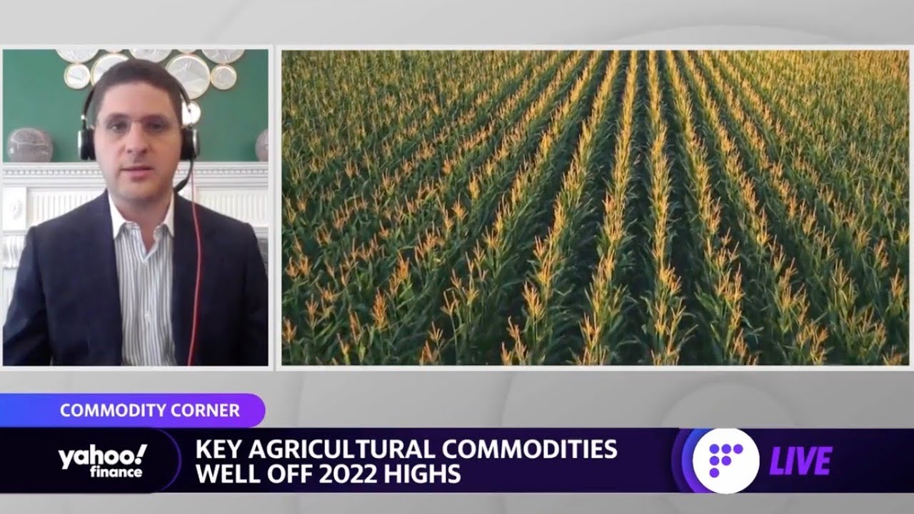 Soft commodities are &lsquo;pulling back&rsquo; on recession fears, commodities analyst says