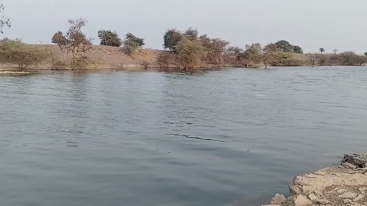 శ్రీశైలం టు వెలుగోడు కాలువ