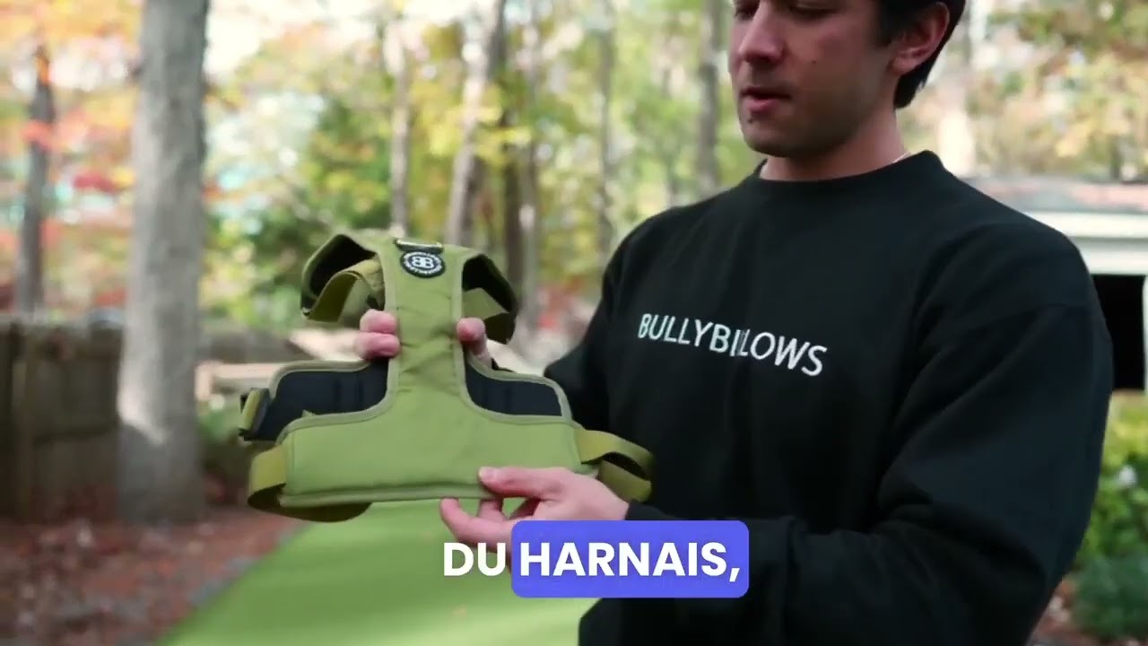 Harnais anti traction chien Hurricane de BullyBillows - Présentation