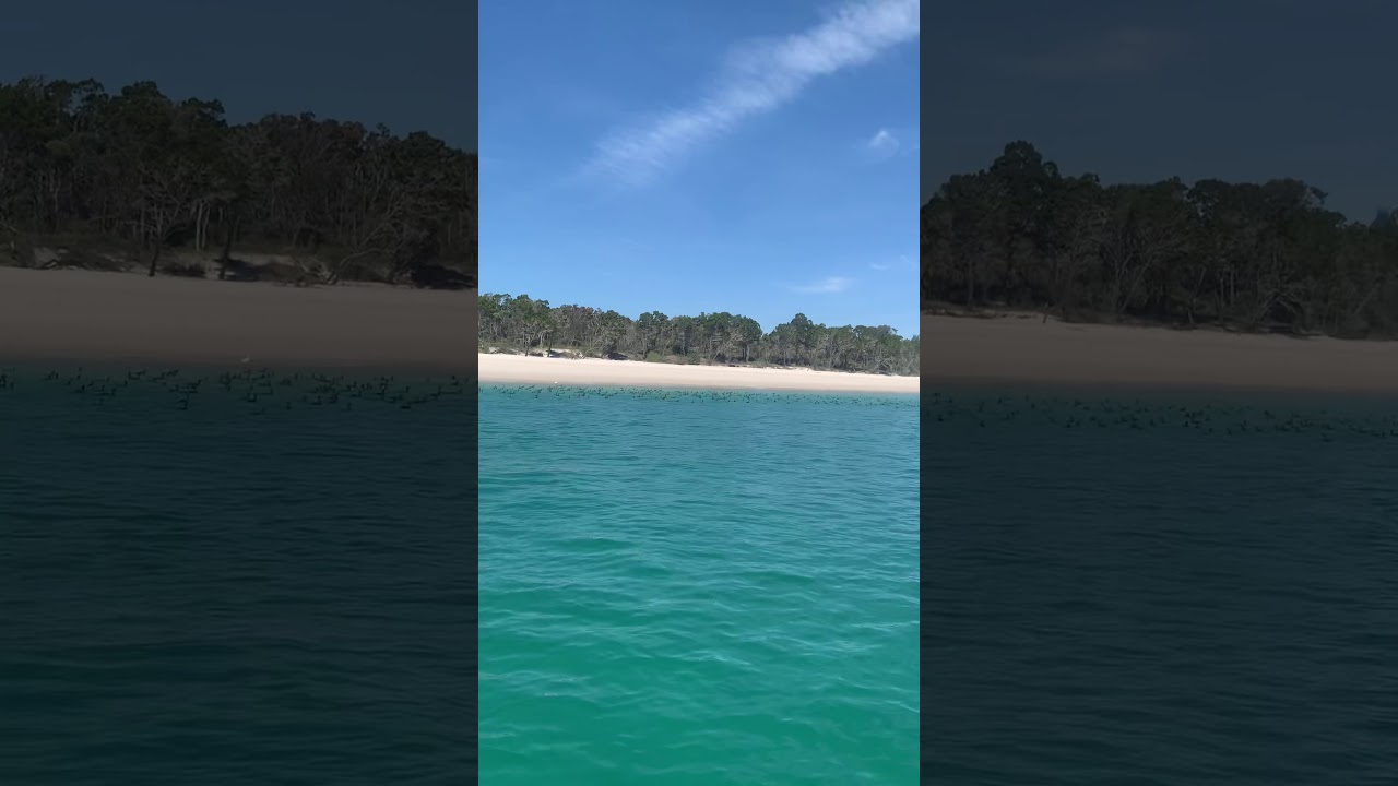 Fraser zisland