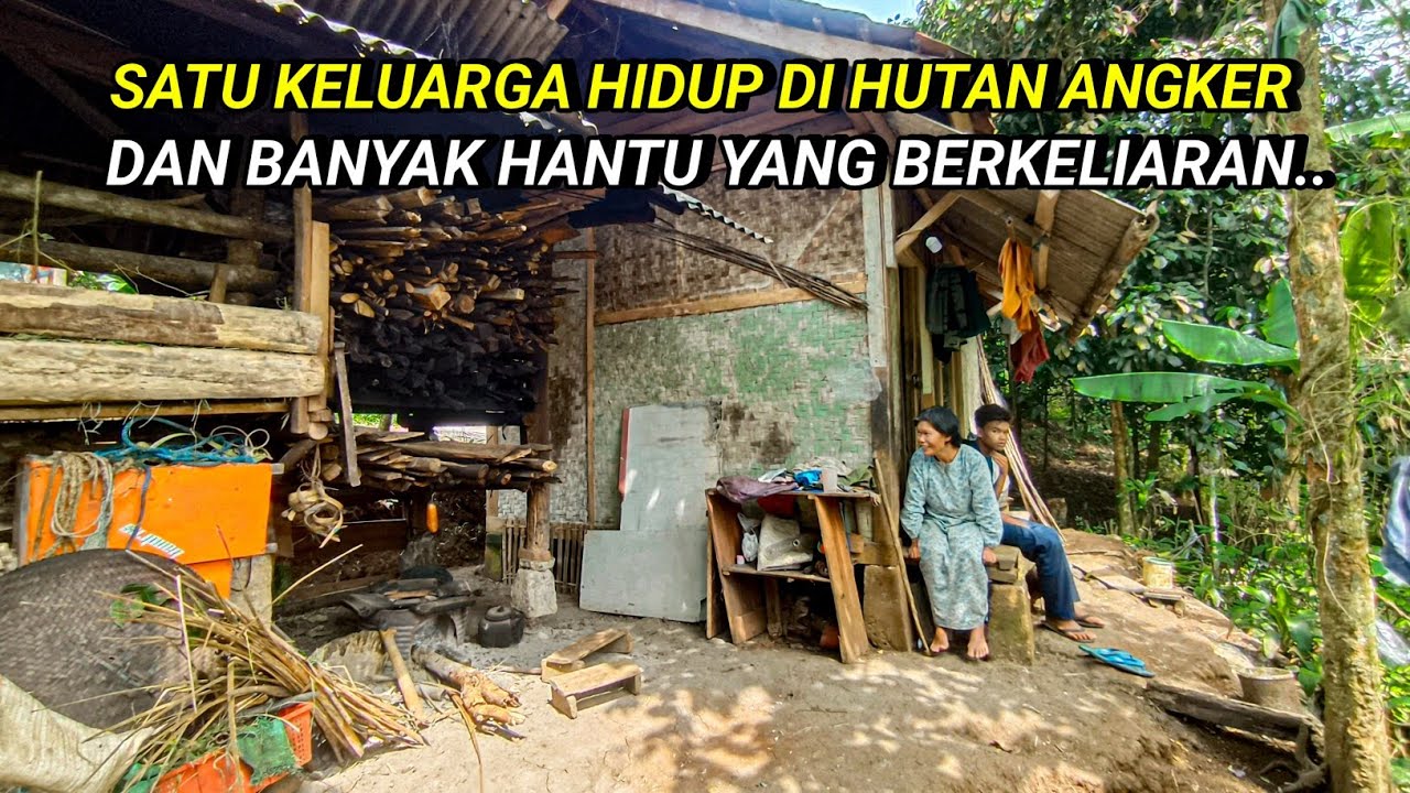 WAH, GAK MASUK AKAL.. SATU KELUARGA TINGGAL DI TENGAH HUTAN 