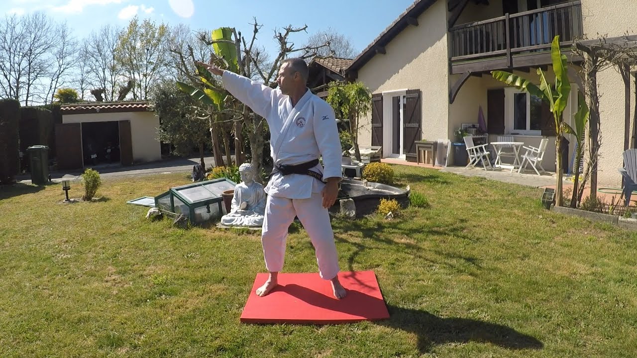 Seiryoku zenyo kokumin taiiku no kata (Tandoku Renshu)