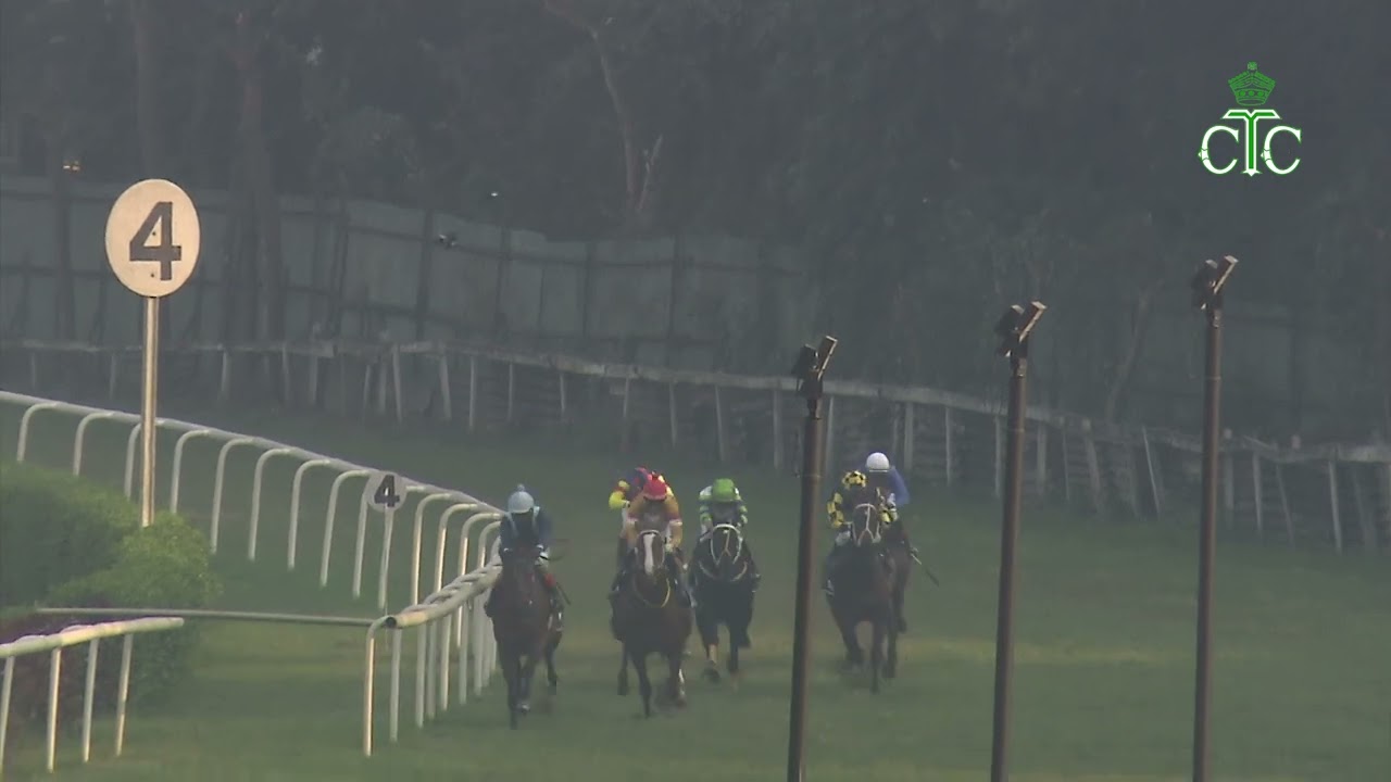 Гонка № 45. Гонка Calcutta 2000 Guineas Gr - II