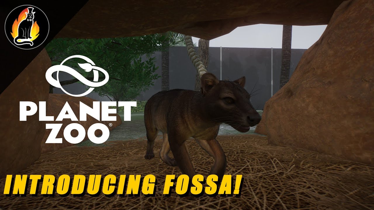 Introducing Fossas! || Planet Zoo Tropical Pack
